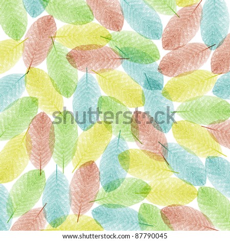 Color Skeleton Leaf for background