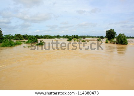 flood water on agriculture area