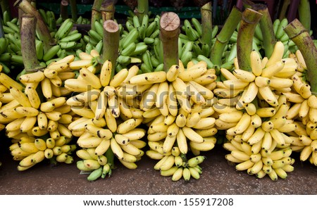 group of little fresh banana in market for sale