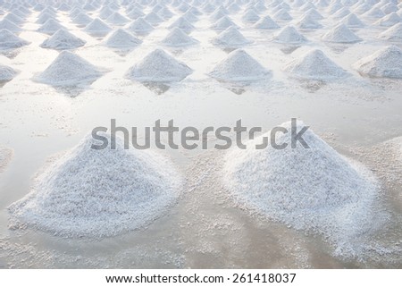 Heap of sea salt in original salt produce farm make from natural ocean salty water preparing for last process before sent it to industry consumer