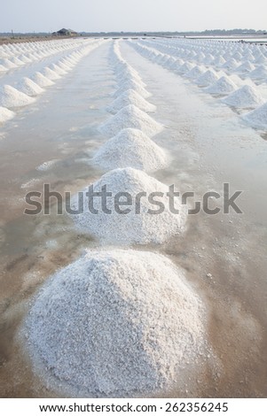vertical form of Heap of sea salt in original salt produce farm make from natural ocean salty water preparing for last process before sent it to industry consumer