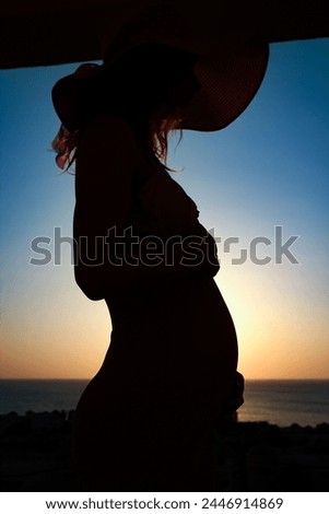 Similar – Image, Stock Photo Silhouette of a pregnant woman against an oceanic landscape