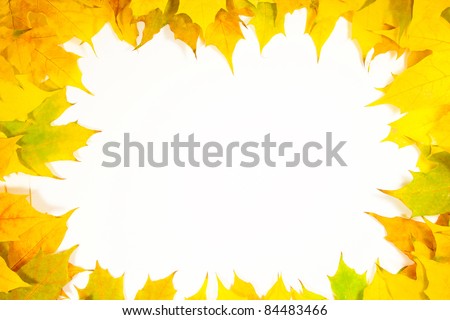 autumn frame leaves