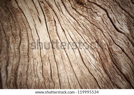old brown bark pattern as the background