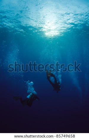 Diver at underwater surface
