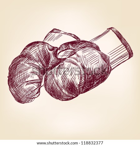 boxing gloves  hand drawn vintage  vector illustration