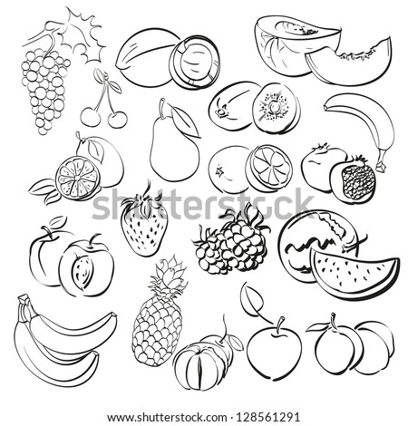 Different Fruits Set Isolated On White . Vector Illustration ...