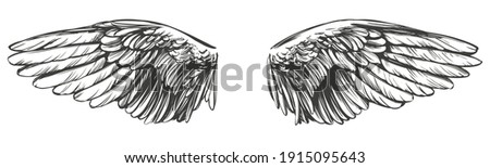 Angel wings, bird wings collection cartoon hand drawn vector illustration sketch