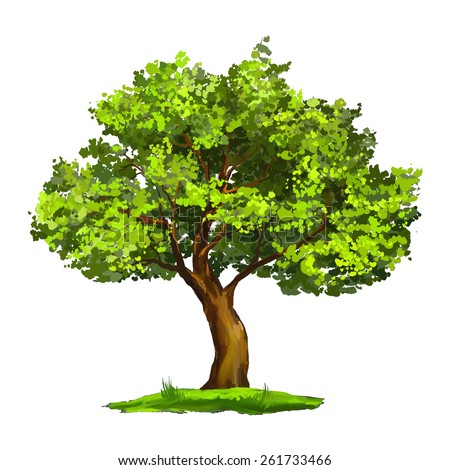 Tree vector illustration  hand drawn  painted watercolor
