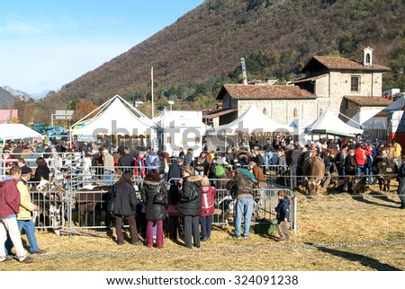 Mendrisio, Switzerland - 10 november 2010: People observing the animals at the rural fair of San Martino in Mendrisio in Switzerland