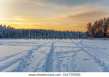 Winter sunset near the forest
