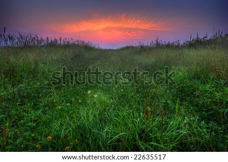 Sunset in the field. It is photographed in Russia. 60 kilometers from Moscow. The end of summer.