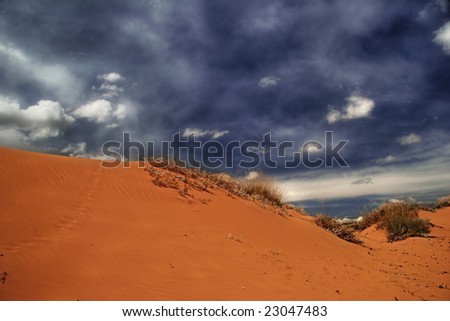 Dune and sand. On Pink Sand Dune national park. Utah. USA