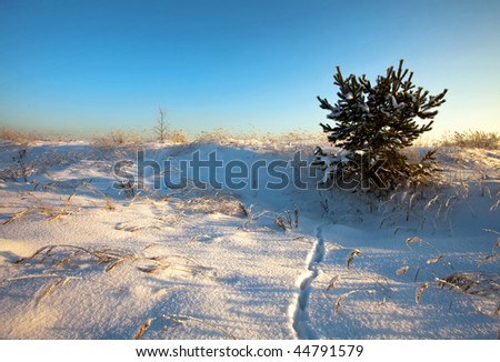 winter landscape with sun rays