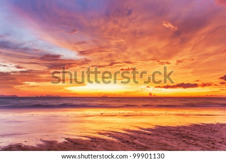 Similar – Image, Stock Photo Tree in evening sun