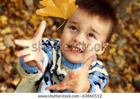 Boy catches  yellow maple leaf falling from a tree. Autumn./Leaves fall.