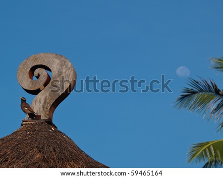 Hill Myna bird grab at hutÃ¢Â?Â?s roof in front of the moon