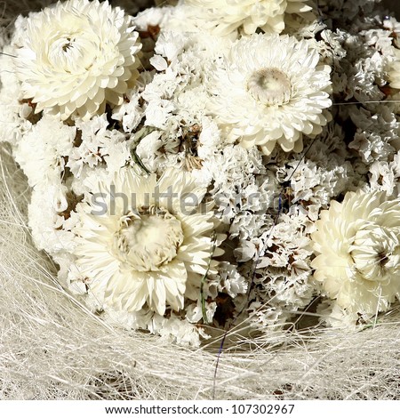 A beautiful bouquet of dried flowers in shades of white
