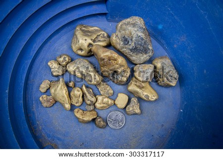 Large Gold Nuggets in a Gold Pan