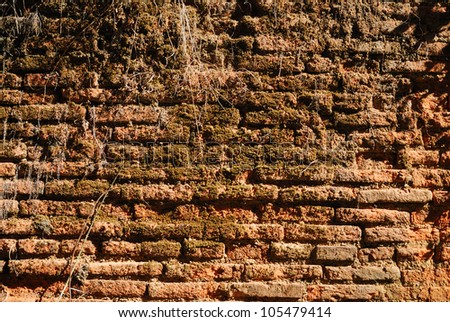 Old brick walls are made of clay bricks, old age