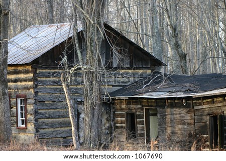 Log house in the woods