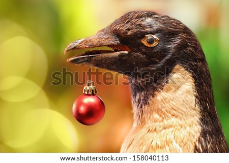 A penguin carrying a red Christmas ball