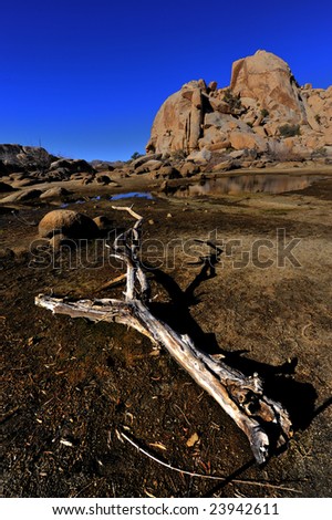 An old bark facing a mirror lake and a rock