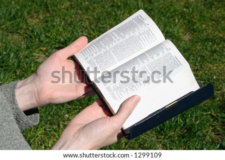 A female studying a holy bible