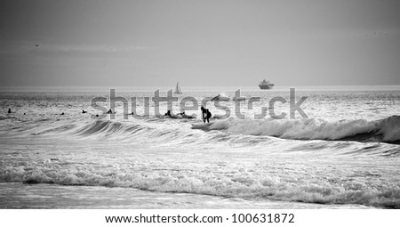 Black and white horizontal photo of the surfers in the sea