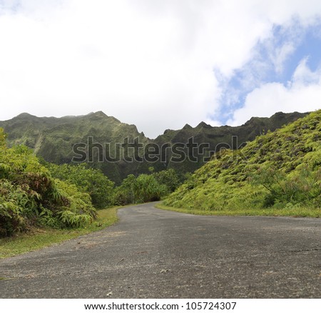 Road leading into a tropical area with mountains in background with clouds and blue sky
