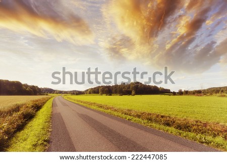 lonely and empty country-road, fields, trees and a sunset sky