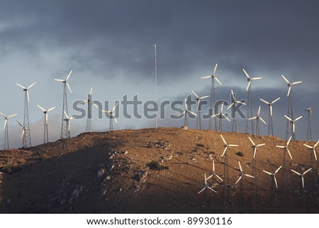 Electric Wind Mill Farm in California