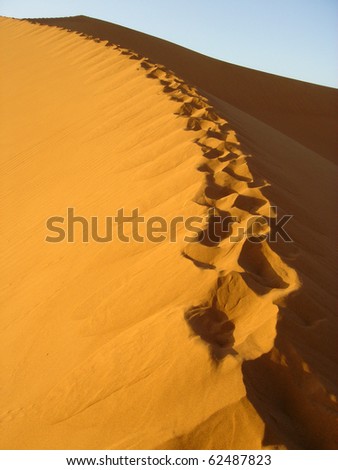 Sand dune in early morning at Western Sahara, Morocco.