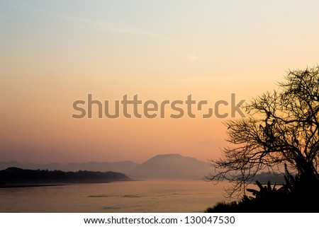 Morning sunlight  landscape with tree,  and river