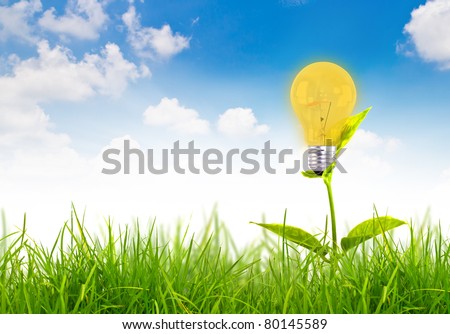 Eco concept -light bulb grow in the grass against blue sky