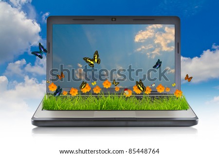 Laptop with yellow flower on grass and butterfly