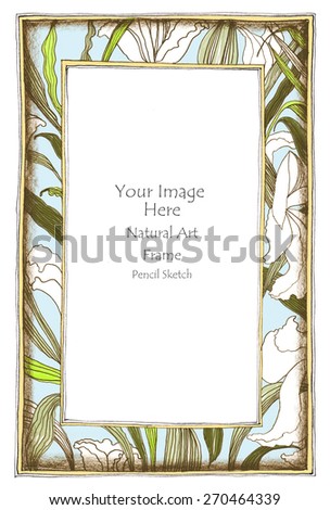 Photo frame Lily flower and leave pencil sketch freehand concept nature gray color background isolate