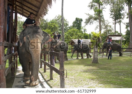 KUALA GANDAH, MALAYSIA - SEPTEMBER 25 : Visitors to Elephant Orphanage Sanctuary was treated to an elephant ride during the Elephant Awareness Program September 25 2010 in Kuala Gandah, Malaysia.