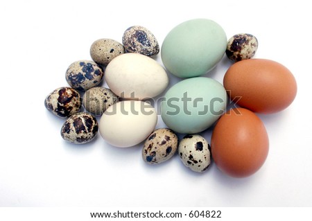 four kind of eggs