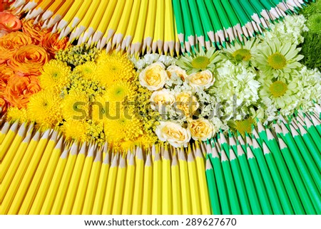 Many different colorful pencils and flowers