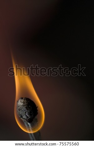 Wooden match slowly burning out.