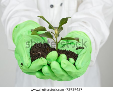 Human hands in green rubber gloves, take care of the earth.