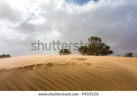Sand dune on a windy day (sand flying softly over the dune)