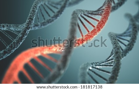Long structure of the DNA double helix in depth of view.