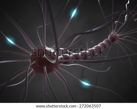 Interconnected neurons transferring information with electrical pulses.