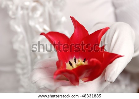 Woman in a wedding gown and white gloves holding a red tulip in her hand