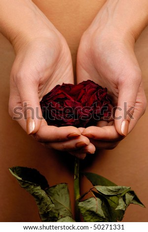 Woman holding a withered red rose in her hands