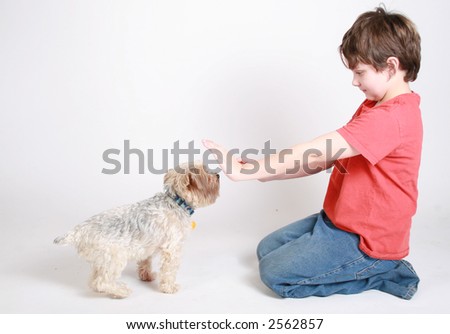 A child trying to train his new puppy