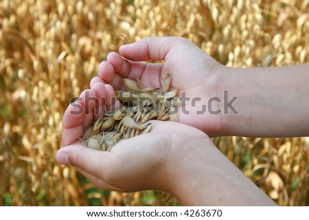 Hands of future farmers holding a new crop