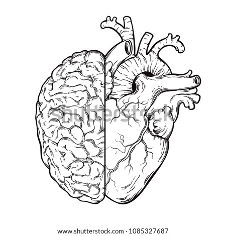 Hand drawn line art human brain and heart halfs - Logic and emotion priority concept. Print or tattoo design isolated on white background vector illustration